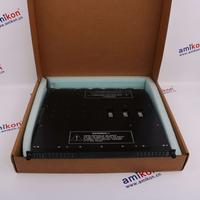 TRICONEX TRICON 4101 * sales2@amikon.cn *